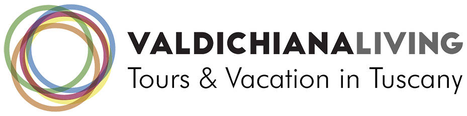 Logo Valdichiana